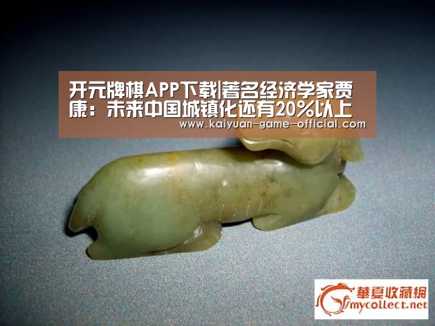 开元牌棋APP下载|著名经济学家贾康:未来中国城镇化还有20%以上的增长空间(图3) 开元牌棋游戏平台