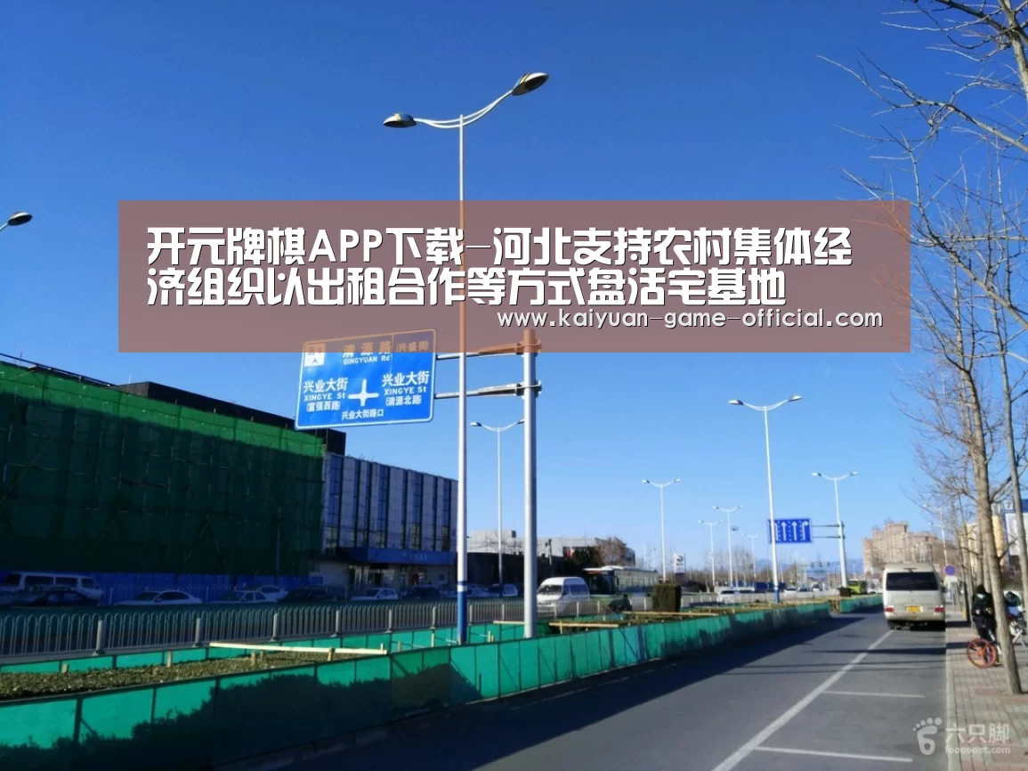 开元牌棋APP下载-河北支持农村集体经济组织以出租合作等方式盘活宅基地(图1) 开元牌棋官网